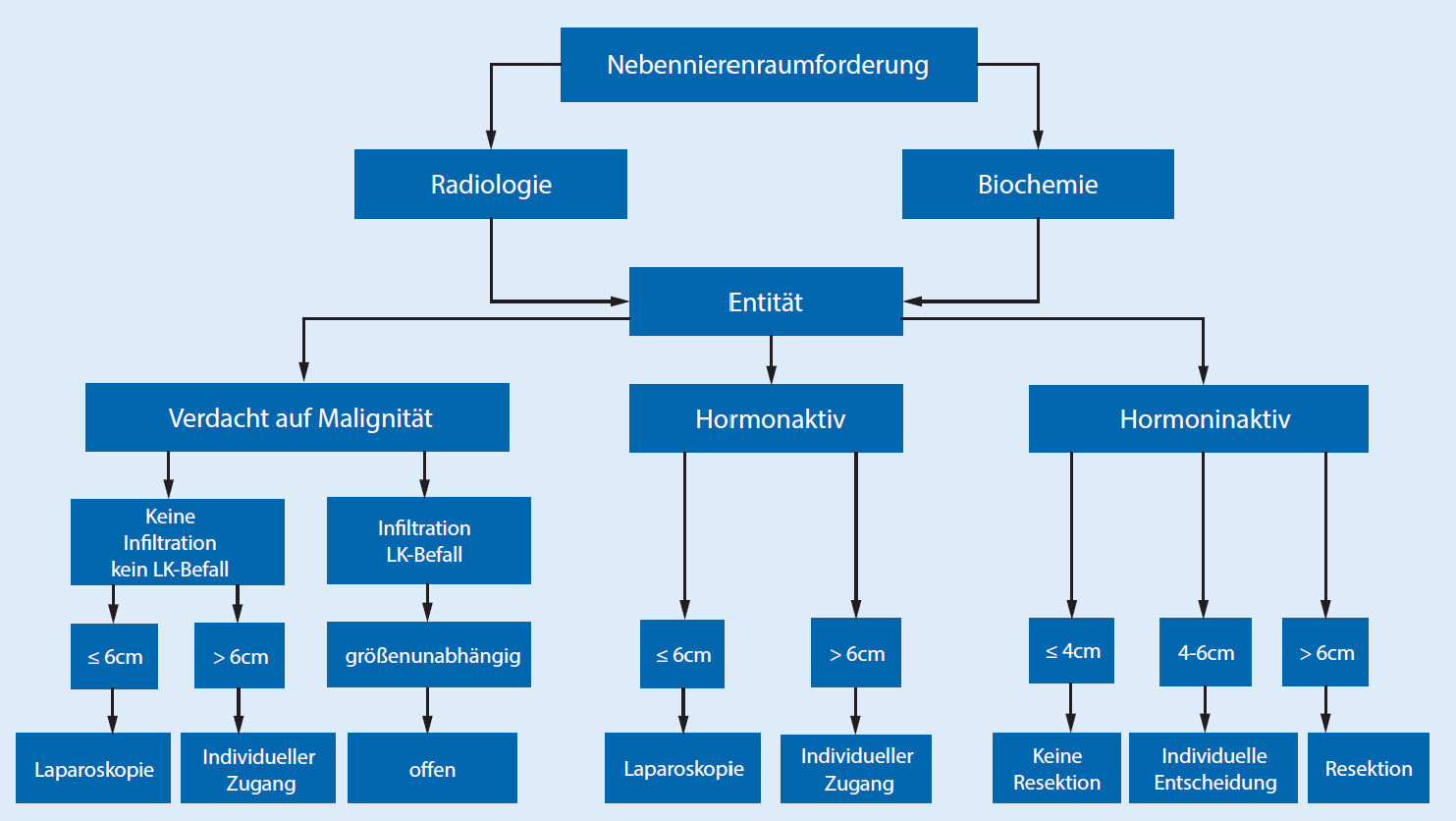 78- Behandlungspfad Nebennierenraumforderung
