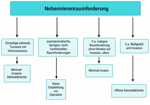 402980d132ea-Nebennierenraumforderung.png
