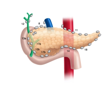 513_AN_03 Lks Zahlen groß.jpg