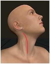 Right cervical access