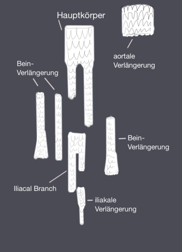 Instrumentarios especiales y sistemas de sujeción