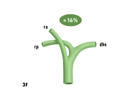 15_LAV_03_f_Gallenwege