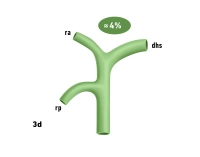 25_LAV_03_d_Gallenwege