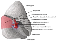 Projekt_401-2_Segment_6