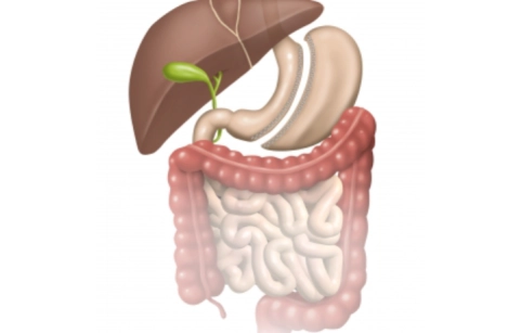 Laparoscopic sleeve gastrectomy Laparoscopic sleeve gastrectomy